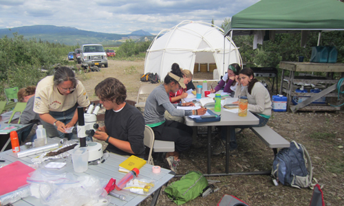 group of people sitting outside at tables near tents