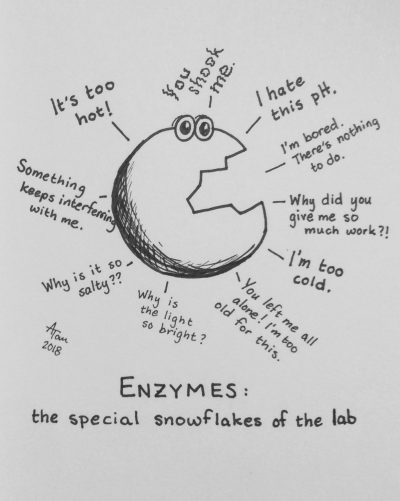 enzyme drawing