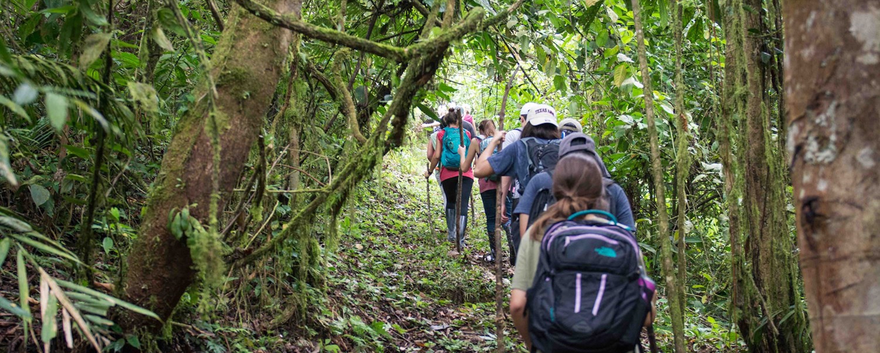 group of students hiking in Costa Rican forest