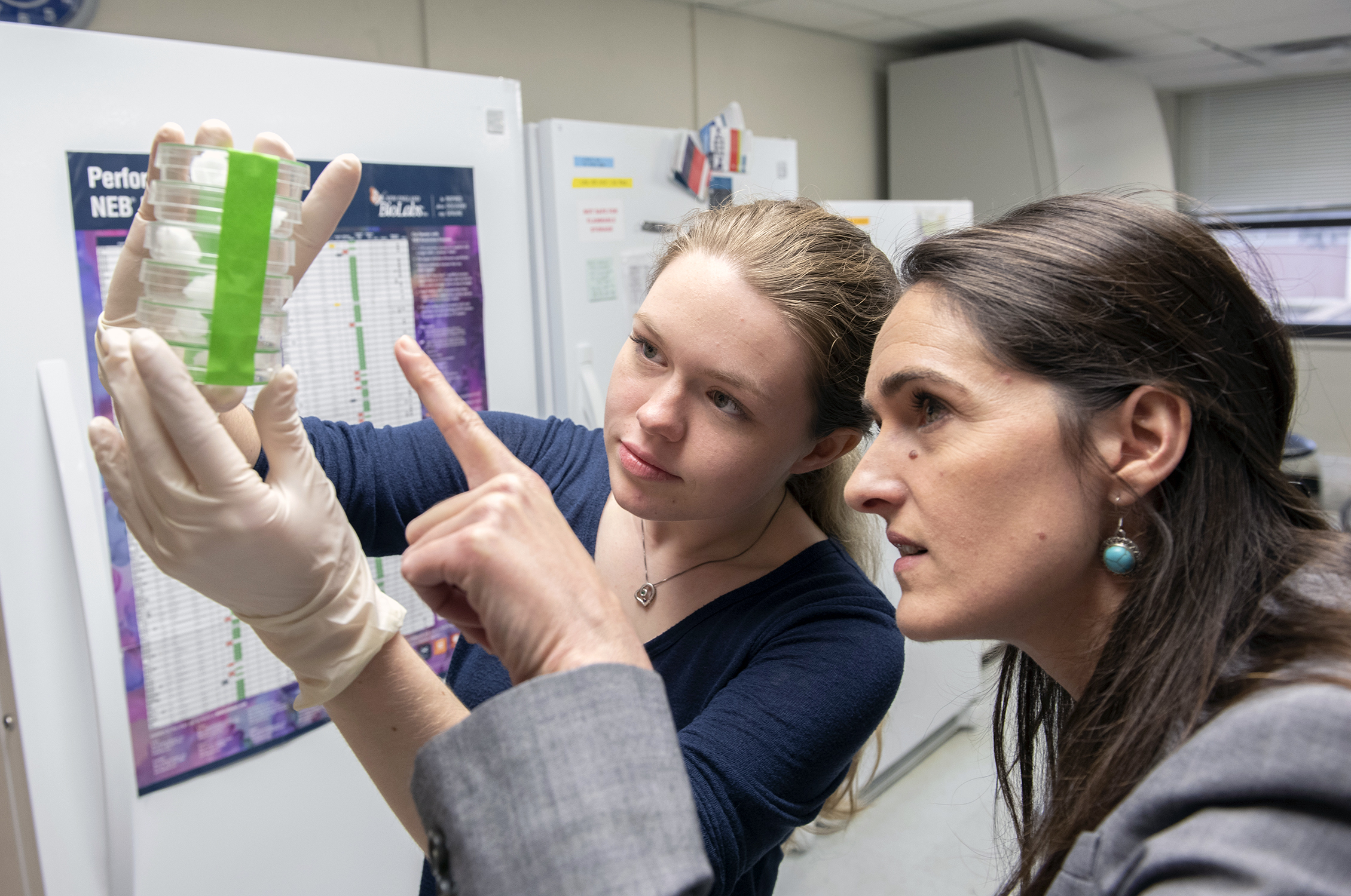 Professor and student working in a biology laboratory at Texas A&amp;M University