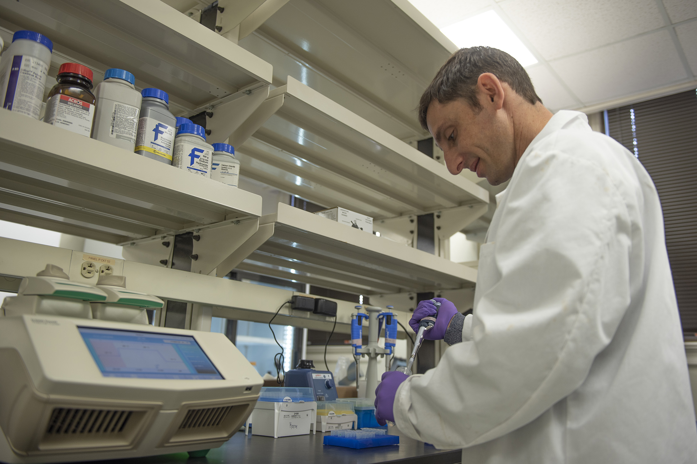 Texas A&amp;M biologist Alex Keene uses a pipette while wearing purple latex gloves and a lab coat within his laboratory on the Texas A&amp;M University campus