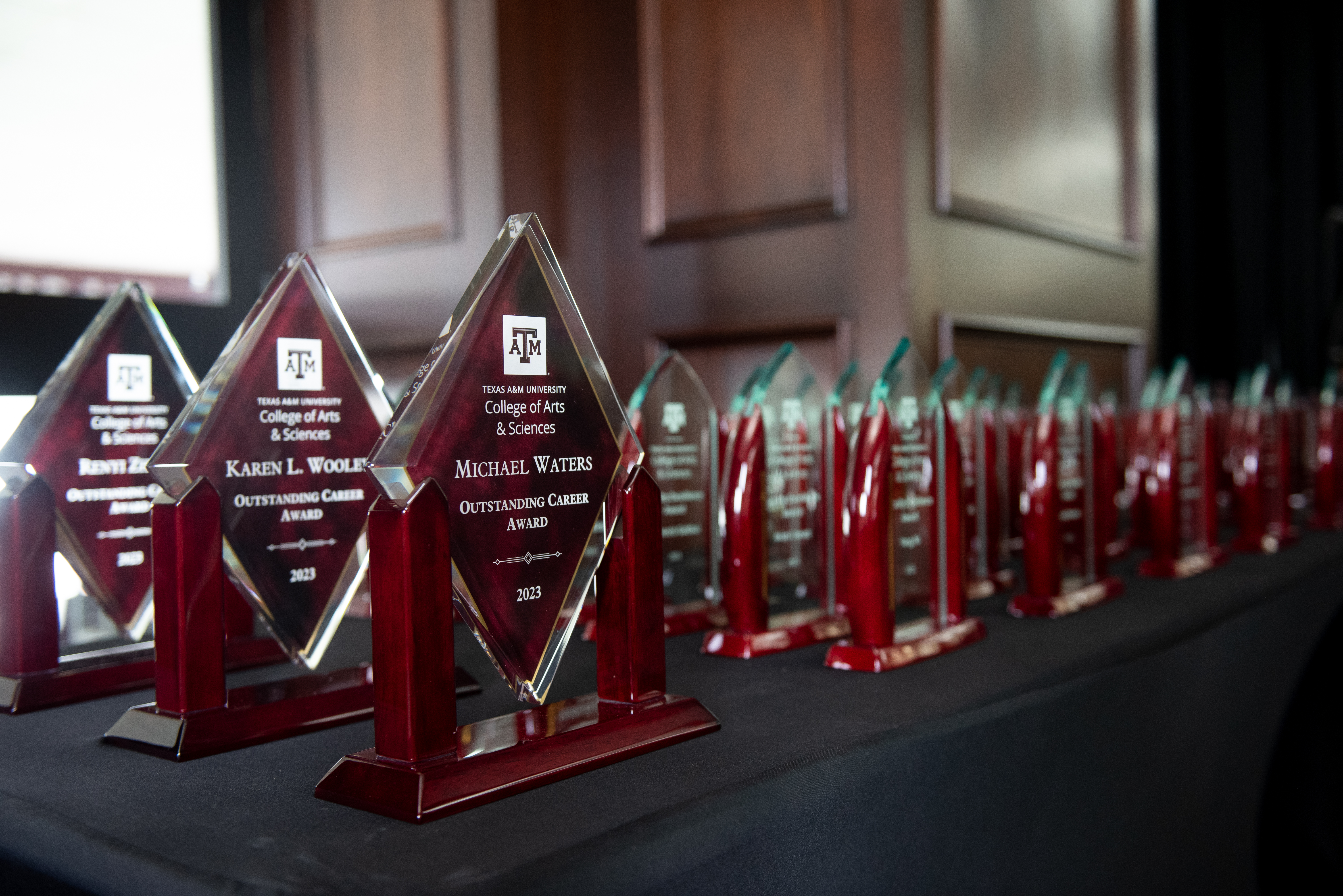 Plaques honoring the College of Arts and Sciences Awards winners.