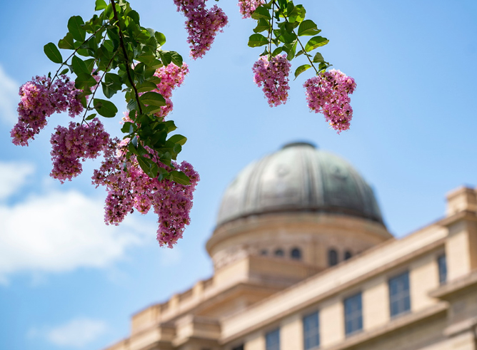 Exterior shot of the Academic Building on the Texas A&amp;M University campus