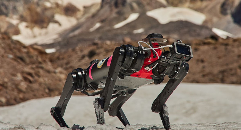 Spirit, a dog-like, four-legged robot created through the NASA-funded LASSIE Project, stands in the sand at Mount Hood in Oregon