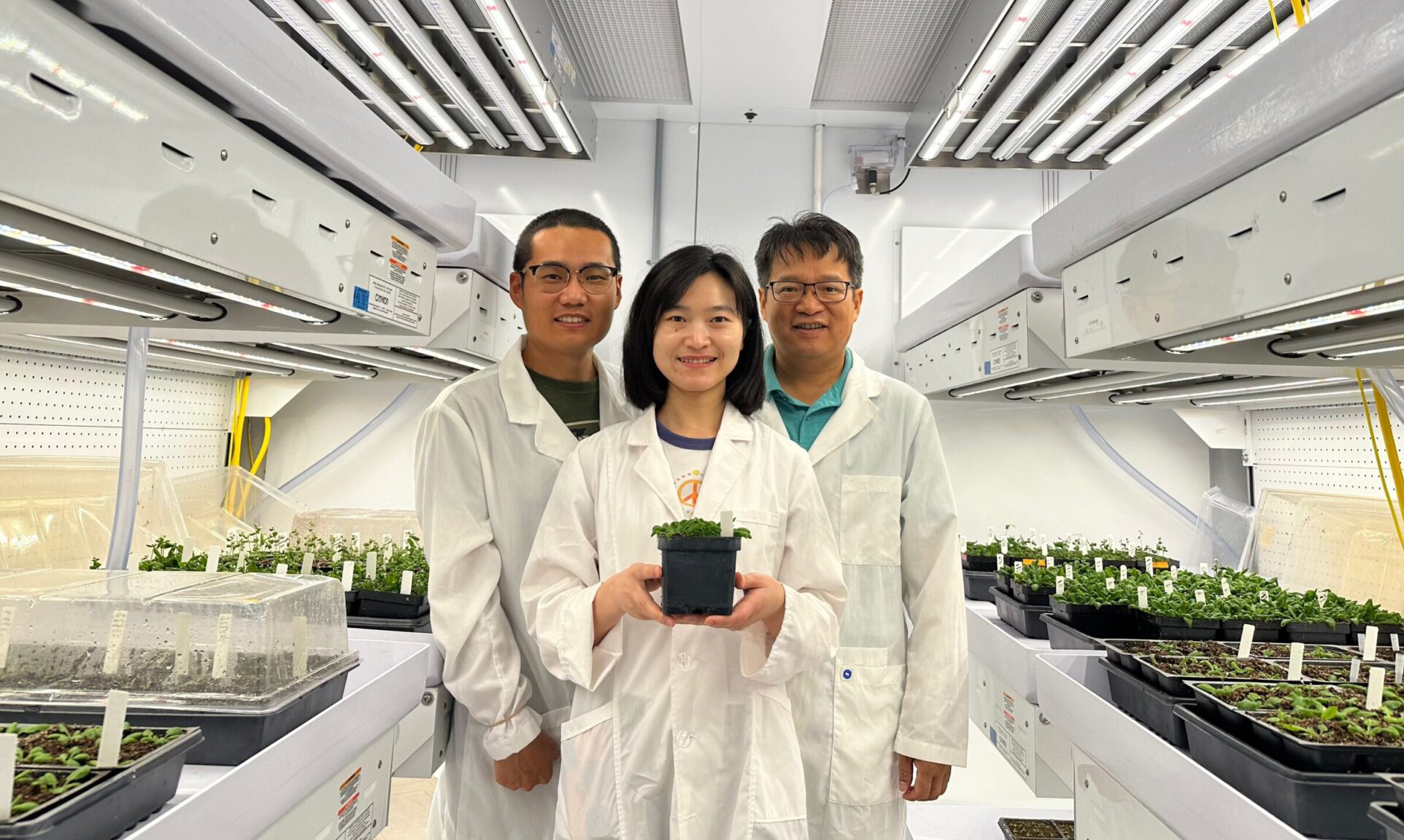 Three researchers wearing white lab coats -- one holding a plant -- stand in a brightly lit plant biology laboratory on the Texas A&amp;M University campus