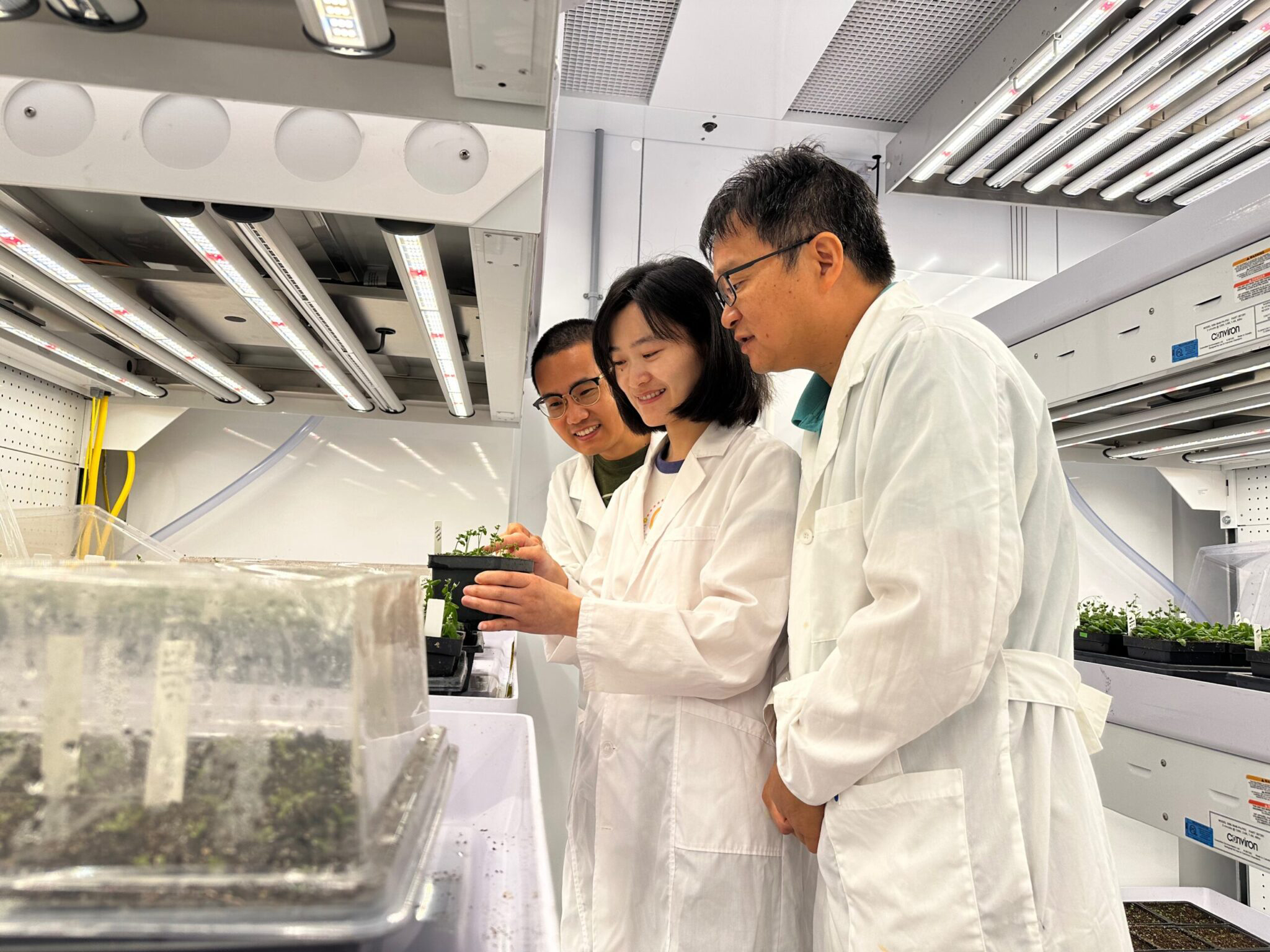 Three researchers wearing white lab coats smile as they analyze a plant within a brightly lit laboratory on the Texas A&amp;M University campus