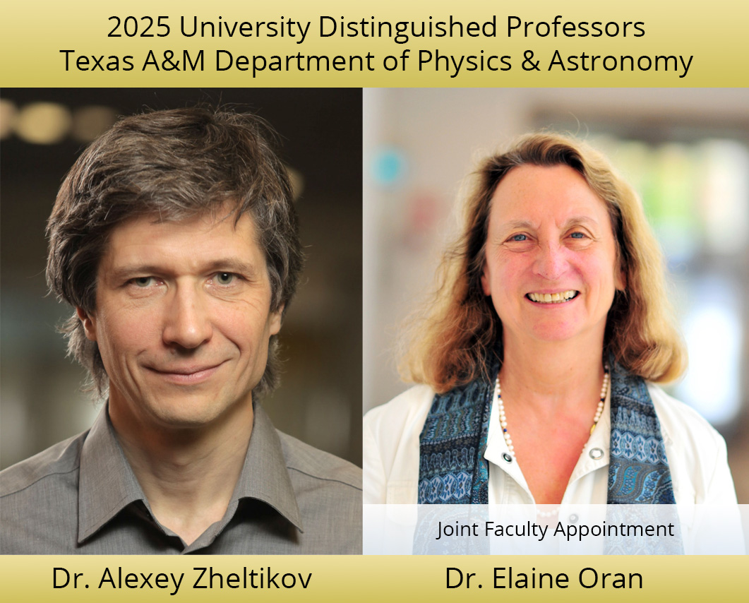 2025 University Distinguished Professors